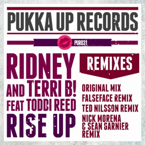 Rise up (What Can I Do?) (Falseface Remix) ft. Terri B! & Toddi Reed | Boomplay Music