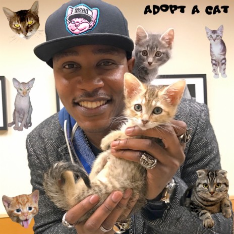 Adopt a Cat | Boomplay Music