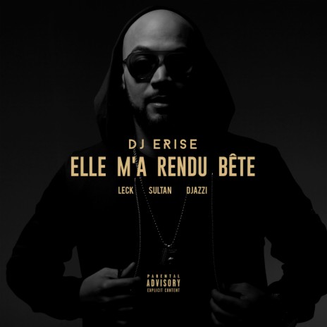 Elle m'a rendu bête ft. Leck, Sultan & Djazzi | Boomplay Music