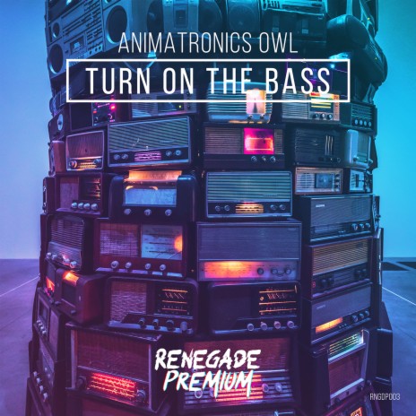 Turn on the Bass (Radio Mix) | Boomplay Music