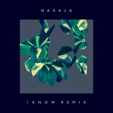 I Know (ayo. & .disfnk Remix) | Boomplay Music