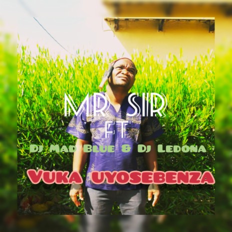 Vuka Uyosebenza ft. DJ Mad Blue & DJ Ledona | Boomplay Music