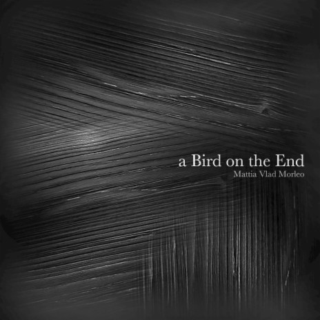 A Bird on the End | Boomplay Music