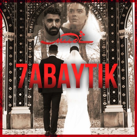 7abaytik ft. Ali Lebanese | Boomplay Music