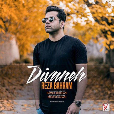 Divaneh | Boomplay Music