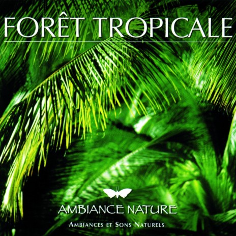 Ambiance Foret tropicale 2 | Boomplay Music