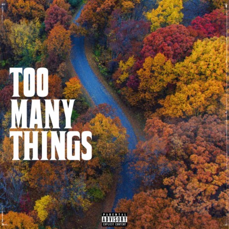 Too Many Things | Boomplay Music