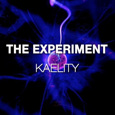 The Experiment | Boomplay Music