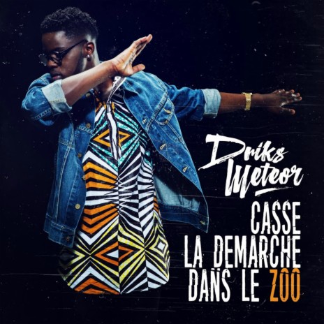 Casse la démarche dans le zoo | Boomplay Music