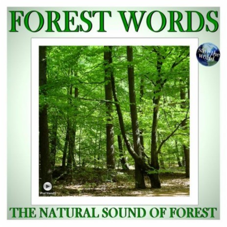 Forest Book | Boomplay Music