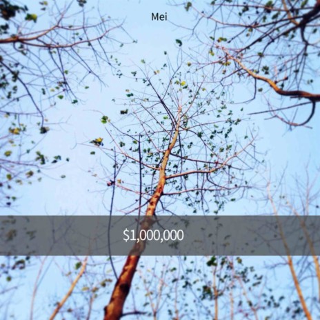 $1000000 | Boomplay Music