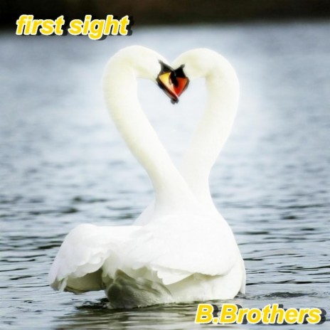 first sight | Boomplay Music