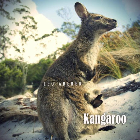 Kangaroo (Radio Edit) | Boomplay Music