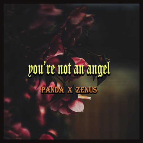 You're Not An Angel ft. Zenus | Boomplay Music