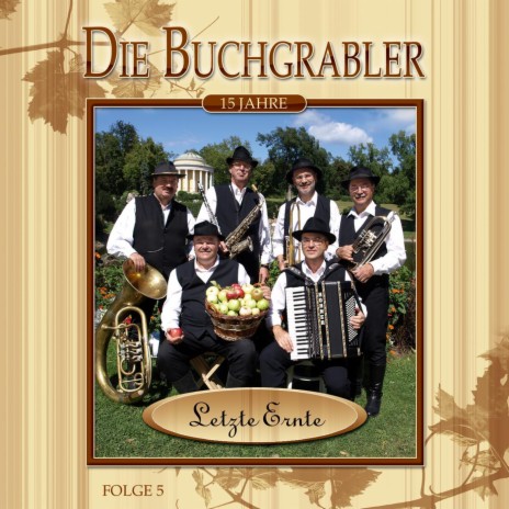 Gitarren klingen leise durch die Nacht (Radio Version) | Boomplay Music