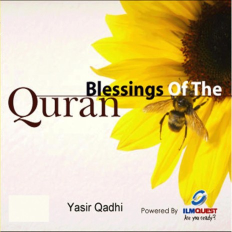 Blessings of the Qur'an, Pt. 2 | Boomplay Music
