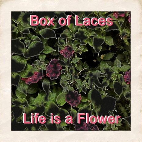 Life Is A Flower (Original Version) | Boomplay Music