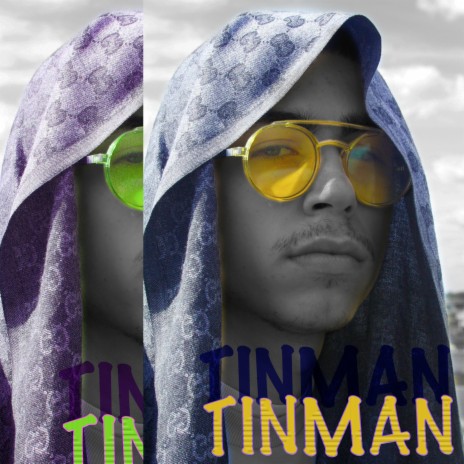 Tinman | Boomplay Music