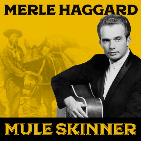 Mule Skinner Blues | Boomplay Music