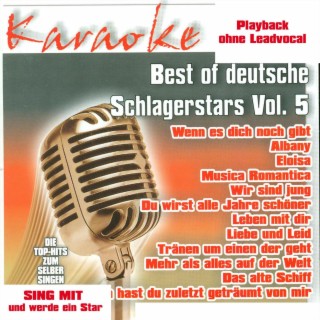 Du hast ein freund in mir karaoke