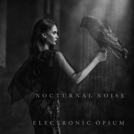 Nocturnal Noise 4 ft. Octavian Boca | Boomplay Music