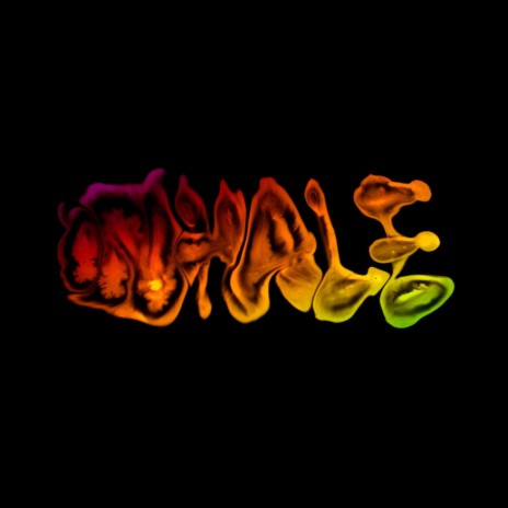 Inhale | Boomplay Music