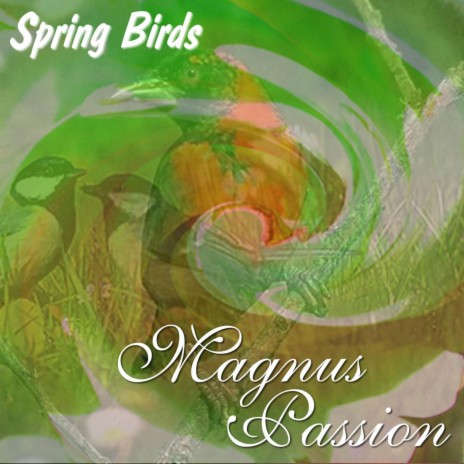Spring Birds | Boomplay Music