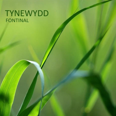 Tynewydd | Boomplay Music