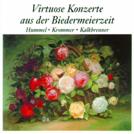 Konzert für Klavier und Orchester Nr.1 in D-Moll, Op.61 3.Satz - Rondo vivace ft. Hamburger Sinfonie-Orchester | Boomplay Music