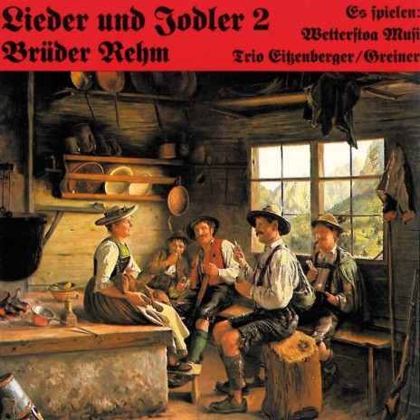 Protzenauer Boarischer ft. Greiner
