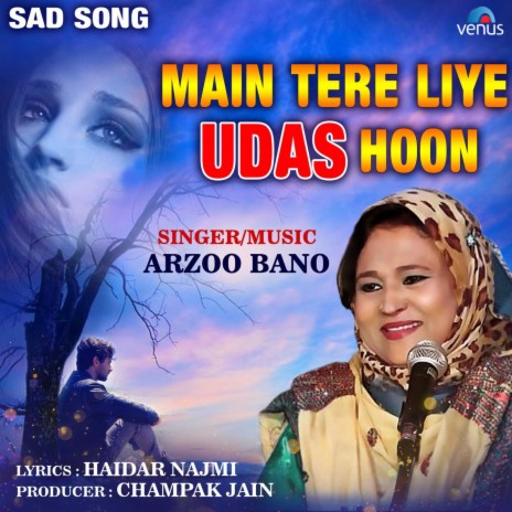 Main Tere Liye Udas Hoon | Boomplay Music