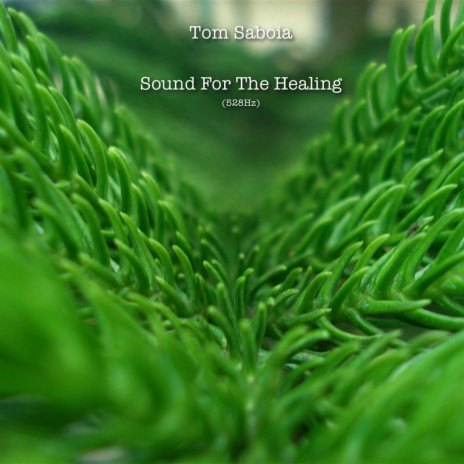 Sound For The Healing (528Hz)