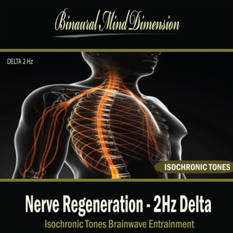 Nerve Regeneration - 2Hz Delta: Isochronic Tones Brainwave Entrainment | Boomplay Music
