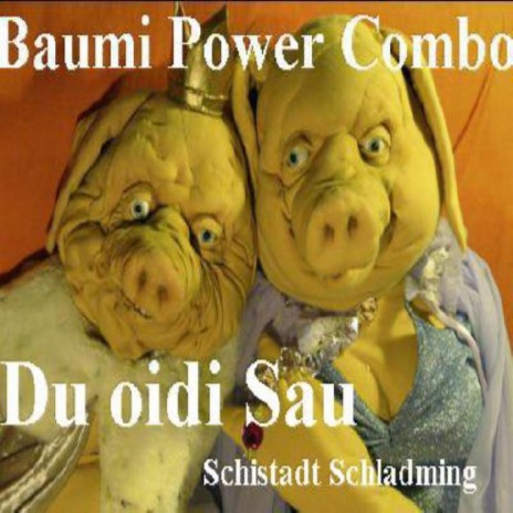 Schweinelied(Du oidi Sau) (Party Rimix) | Boomplay Music