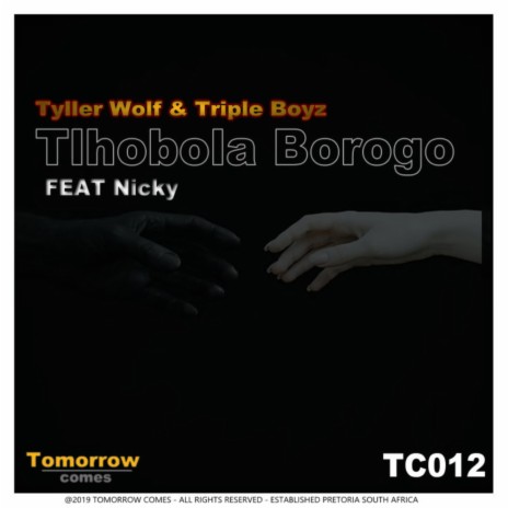 Tlhobola Borogo ft. Triple Boyz & Nicky | Boomplay Music