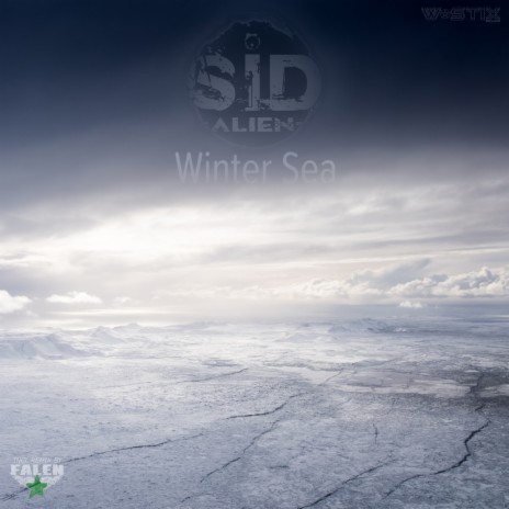 Winter Sea (FALEN Uplifting Remix)