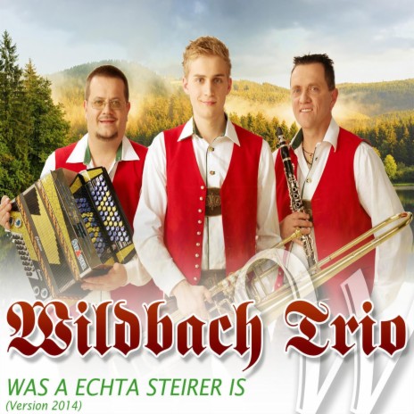 Was a echta Steirer is (Version 2014) | Boomplay Music