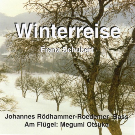 Der stürmische Morgen (Winterreise, D. 911) ft. Johannes Rödhammer-Roedemer
