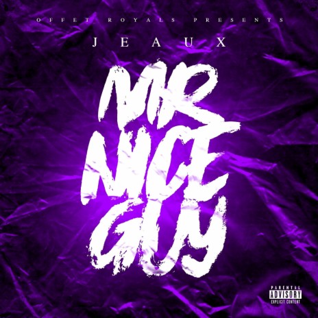 Mr Nice Guy | Boomplay Music