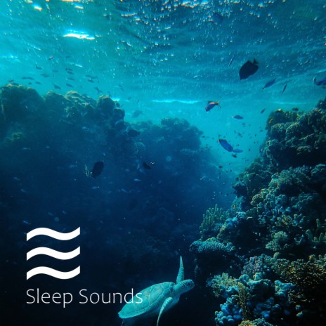 Calm Waves Water for Sleep | Boomplay Music