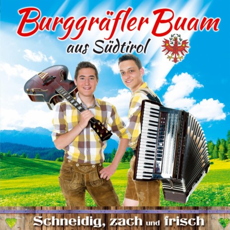 Tirol du bist mein Land | Boomplay Music