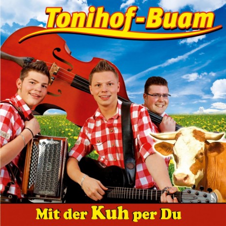 Tonihof-Buam spain heut auf