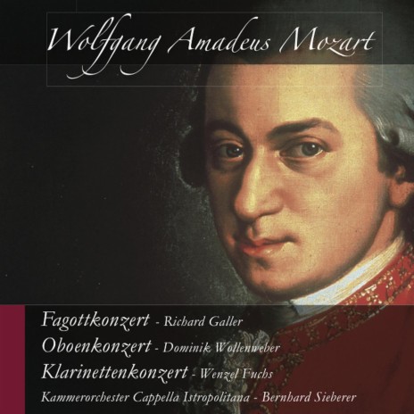 Konzert für Fagott und Orchester in B-Dur, KV 191: I. Allegro ft. Richard Galler | Boomplay Music