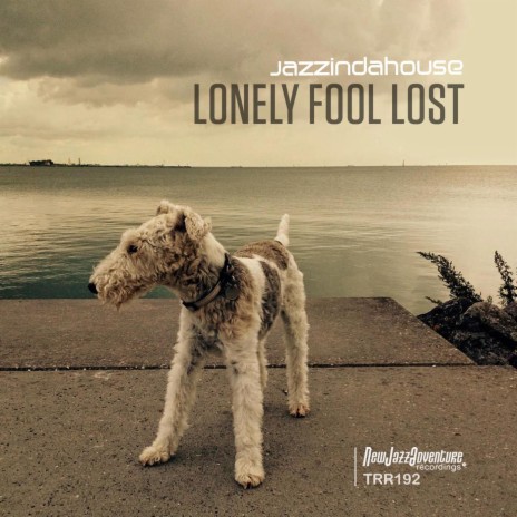 Lonely Fool Lost | Boomplay Music