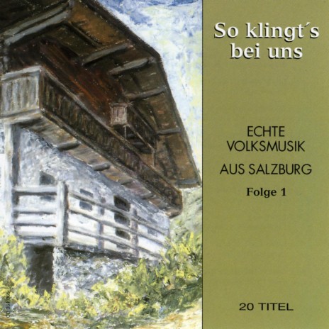 D' lustigen Salzburger ft. Pongau)