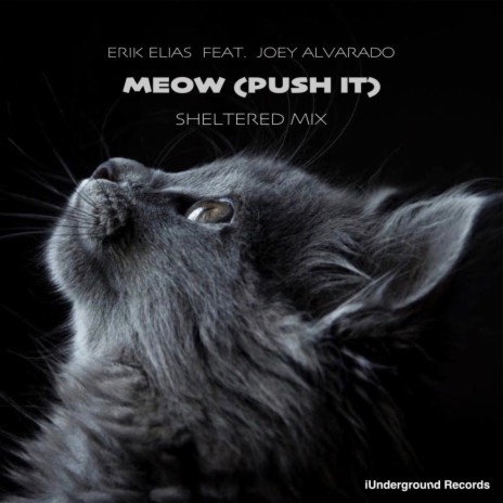 Meow (Push It) Sheltered Mix ft. Joey Alvarado | Boomplay Music