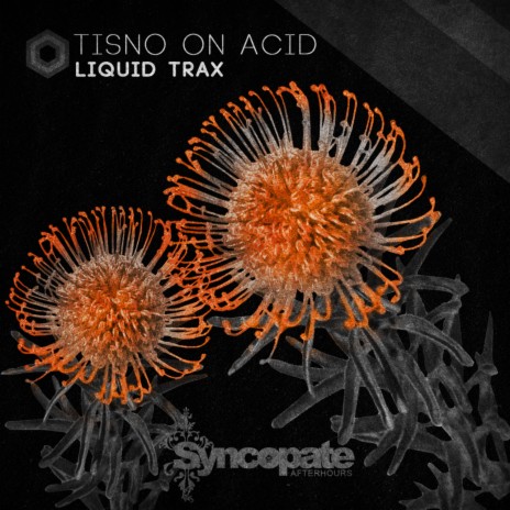 Tisno On Acid (Original Mix) | Boomplay Music