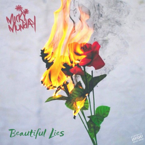 Beautiful Lies | Boomplay Music