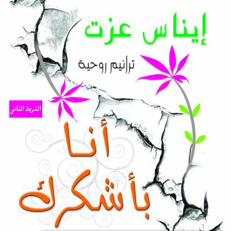 ابدا عمرى مالاقى