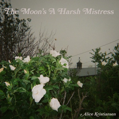 The Moon's a Harsh Mistress | Boomplay Music